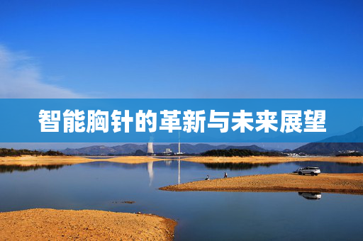 智能胸针的革新与未来展望