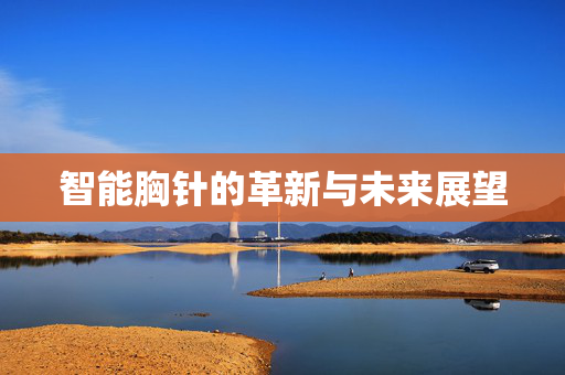 智能胸针的革新与未来展望
