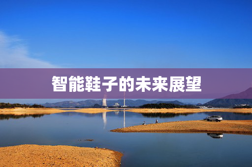 智能鞋子的未来展望