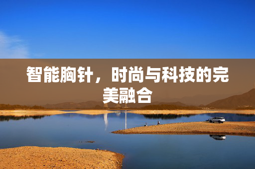 智能胸针，时尚与科技的完美融合